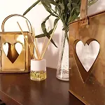 Fulanita * 特格斯特